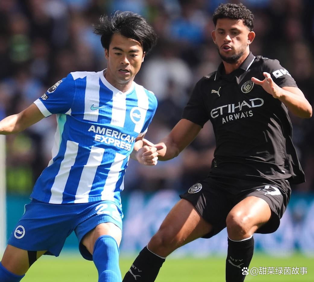 荷甲积分榜最新排名-开云官网